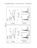 OXAZOLE AND THIAZOLE COMPOUNDS AS BETA-CATENIN MODULATORS AND USES THEREOF diagram and image