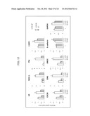 OXAZOLE AND THIAZOLE COMPOUNDS AS BETA-CATENIN MODULATORS AND USES THEREOF diagram and image