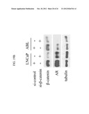 OXAZOLE AND THIAZOLE COMPOUNDS AS BETA-CATENIN MODULATORS AND USES THEREOF diagram and image