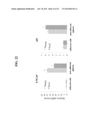 OXAZOLE AND THIAZOLE COMPOUNDS AS BETA-CATENIN MODULATORS AND USES THEREOF diagram and image