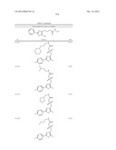 OXAZOLE AND THIAZOLE COMPOUNDS AS BETA-CATENIN MODULATORS AND USES THEREOF diagram and image