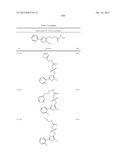 OXAZOLE AND THIAZOLE COMPOUNDS AS BETA-CATENIN MODULATORS AND USES THEREOF diagram and image