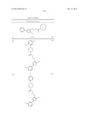 OXAZOLE AND THIAZOLE COMPOUNDS AS BETA-CATENIN MODULATORS AND USES THEREOF diagram and image