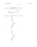 OXAZOLE AND THIAZOLE COMPOUNDS AS BETA-CATENIN MODULATORS AND USES THEREOF diagram and image