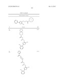 OXAZOLE AND THIAZOLE COMPOUNDS AS BETA-CATENIN MODULATORS AND USES THEREOF diagram and image