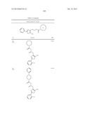 OXAZOLE AND THIAZOLE COMPOUNDS AS BETA-CATENIN MODULATORS AND USES THEREOF diagram and image