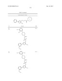 OXAZOLE AND THIAZOLE COMPOUNDS AS BETA-CATENIN MODULATORS AND USES THEREOF diagram and image