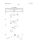 OXAZOLE AND THIAZOLE COMPOUNDS AS BETA-CATENIN MODULATORS AND USES THEREOF diagram and image