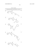 OXAZOLE AND THIAZOLE COMPOUNDS AS BETA-CATENIN MODULATORS AND USES THEREOF diagram and image