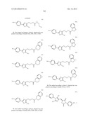 OXAZOLE AND THIAZOLE COMPOUNDS AS BETA-CATENIN MODULATORS AND USES THEREOF diagram and image