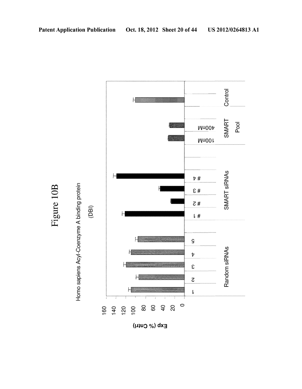 siRNA Targeting Cyclin-dependent Kinase Inhibitor 1B (p27, Kip1) (CDKN1B) - diagram, schematic, and image 21