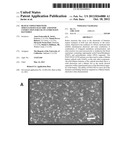 Block Copolymer with Simultaneous Electric and Ionic Conduction for Use in     Lithium ION Batteries diagram and image