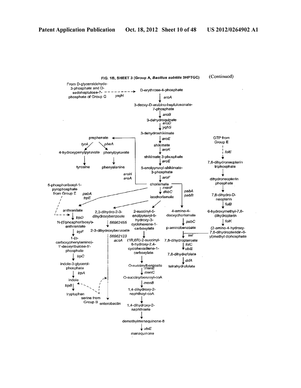 Methods, Systems and Compositions for Increased Microorganism Tolerance to     and Production of 3-Hydroxypropionic Acid (3-HP) - diagram, schematic, and image 11
