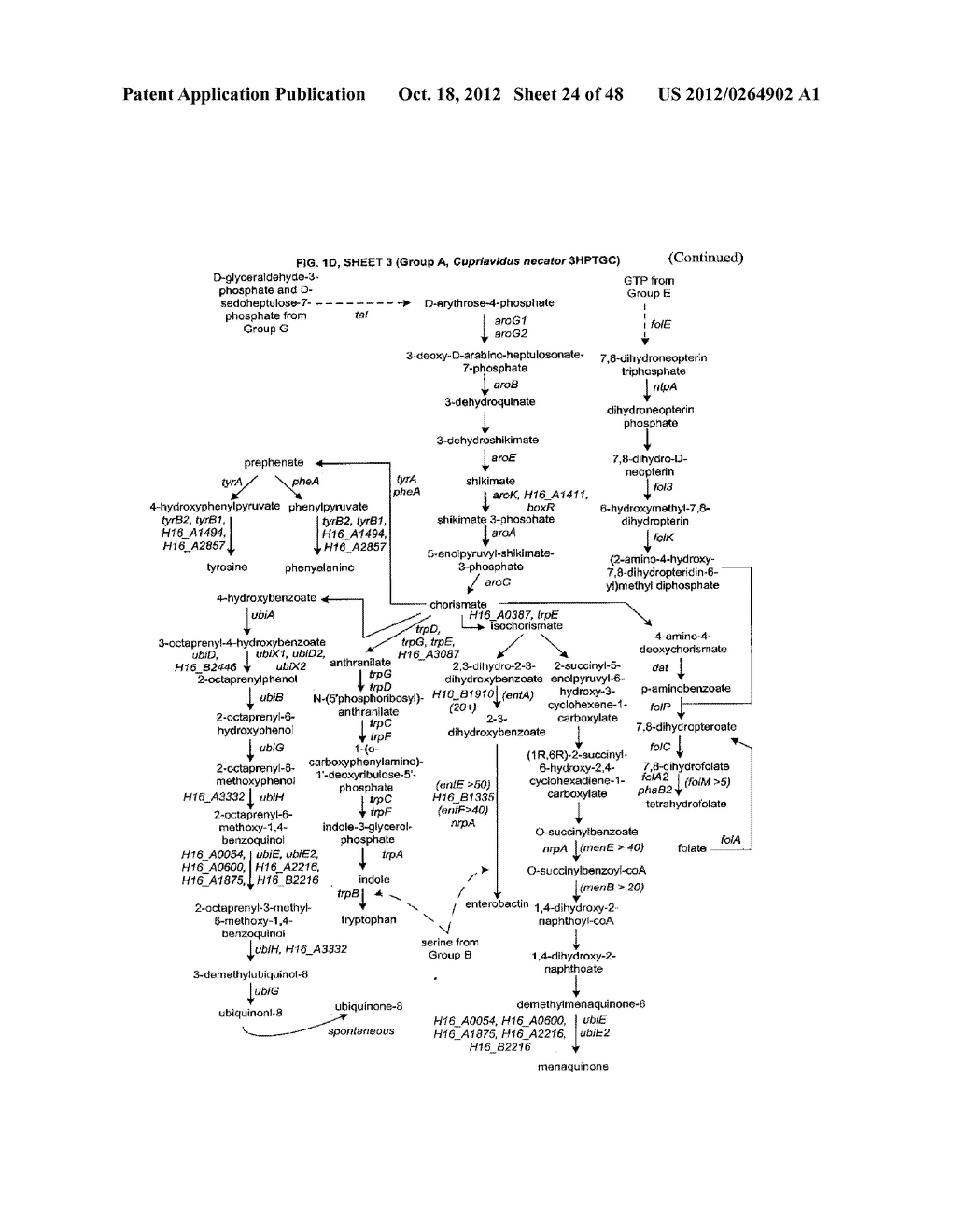 Methods, Systems and Compositions for Increased Microorganism Tolerance to     and Production of 3-Hydroxypropionic Acid (3-HP) - diagram, schematic, and image 25