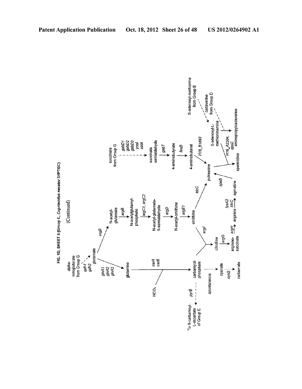 Methods, Systems and Compositions for Increased Microorganism Tolerance to     and Production of 3-Hydroxypropionic Acid (3-HP) - diagram, schematic, and image 27