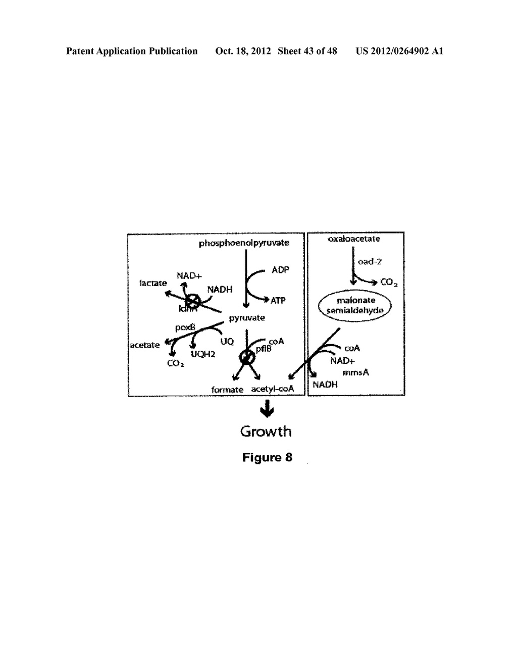 Methods, Systems and Compositions for Increased Microorganism Tolerance to     and Production of 3-Hydroxypropionic Acid (3-HP) - diagram, schematic, and image 44