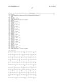 SPIDER SILK PROTEINS AND METHODS FOR PRODUCING SPIDER SILK PROTEINS diagram and image