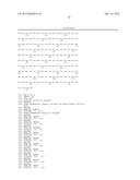 SPIDER SILK PROTEINS AND METHODS FOR PRODUCING SPIDER SILK PROTEINS diagram and image