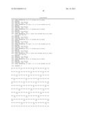 SPIDER SILK PROTEINS AND METHODS FOR PRODUCING SPIDER SILK PROTEINS diagram and image