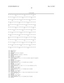 SPIDER SILK PROTEINS AND METHODS FOR PRODUCING SPIDER SILK PROTEINS diagram and image