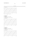 SPIDER SILK PROTEINS AND METHODS FOR PRODUCING SPIDER SILK PROTEINS diagram and image