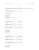 SPIDER SILK PROTEINS AND METHODS FOR PRODUCING SPIDER SILK PROTEINS diagram and image