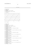 SPIDER SILK PROTEINS AND METHODS FOR PRODUCING SPIDER SILK PROTEINS diagram and image