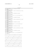 SPIDER SILK PROTEINS AND METHODS FOR PRODUCING SPIDER SILK PROTEINS diagram and image