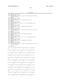 SPIDER SILK PROTEINS AND METHODS FOR PRODUCING SPIDER SILK PROTEINS diagram and image