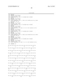 SPIDER SILK PROTEINS AND METHODS FOR PRODUCING SPIDER SILK PROTEINS diagram and image