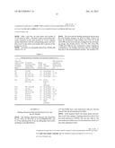 BIPARATOPIC PROTEIN CONSTRUCTS DIRECTED AGAINST IL-23 diagram and image