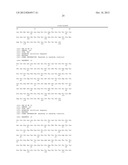 BIPARATOPIC PROTEIN CONSTRUCTS DIRECTED AGAINST IL-23 diagram and image