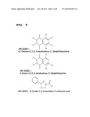 METHOD FOR SCREENING OSTEOPONTIN INHIBITOR AND INHIBITOR OBTAINED FROM THE     METHOD diagram and image