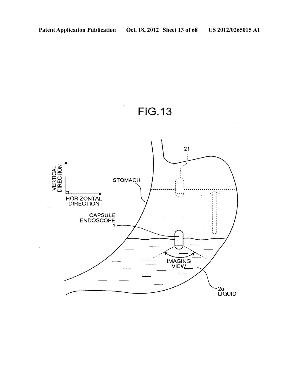 BODY-INSERTABLE DEVICE SYSTEM AND IN-VIVO OBSERVATION METHOD - diagram, schematic, and image 14