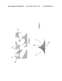 TISSUE-INTEGRATING SENSORS diagram and image