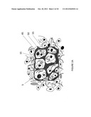 TISSUE-INTEGRATING SENSORS diagram and image