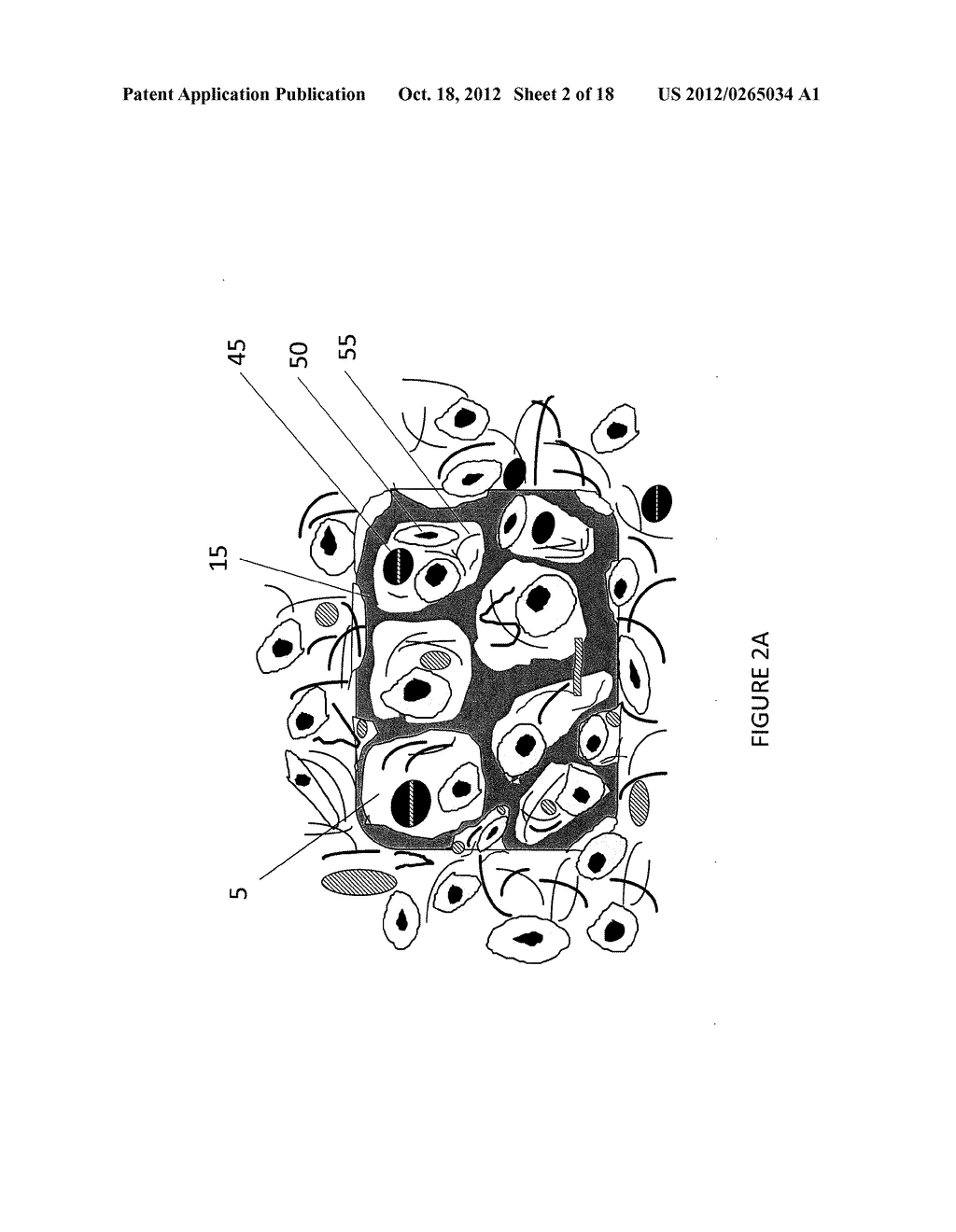 TISSUE-INTEGRATING SENSORS - diagram, schematic, and image 03