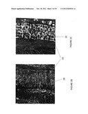 TISSUE-INTEGRATING SENSORS diagram and image