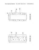 TISSUE-INTEGRATING SENSORS diagram and image