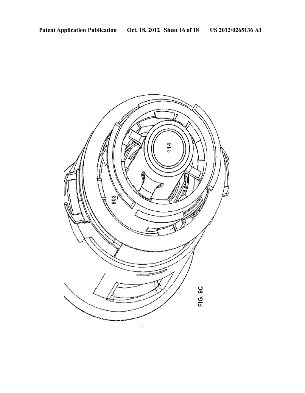 Preservative-Free Follicle Stimulating Hormone Solution Delivery Device - diagram, schematic, and image 17