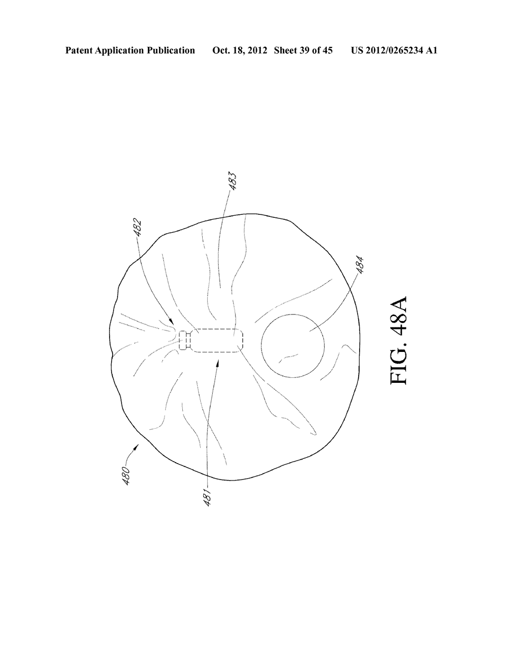 INTRAGASTRIC DEVICE - diagram, schematic, and image 40