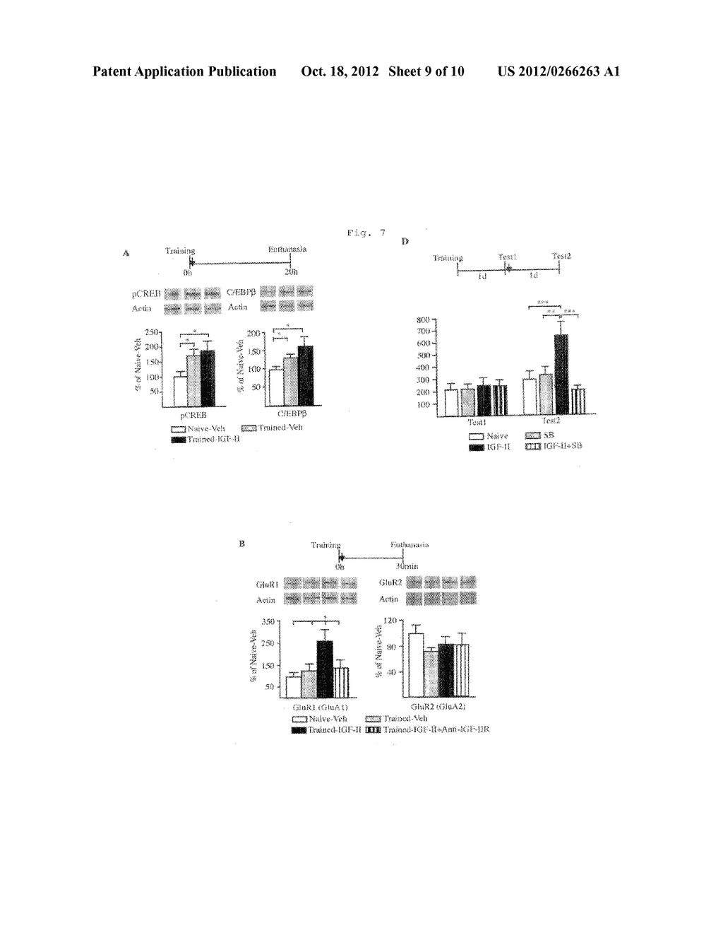 METHOD OF TREATING MEMORY DISORDERS AND ENHANCING MEMORY USING IGF-II     COMPOUNDS - diagram, schematic, and image 10