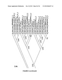 Plants Having Enhanced Yield-Related Traits and a Method for Making the     Same diagram and image