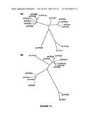 Plants Having Enhanced Yield-Related Traits and a Method for Making the     Same diagram and image