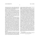 Freeze tolerant hybrid eucalyptus named  FTE 427  diagram and image