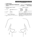 Reusable Adhesive Clothing Articles diagram and image