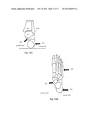 Support System for Footwear Providing Support at or Below the     Sustentaculum Tali diagram and image