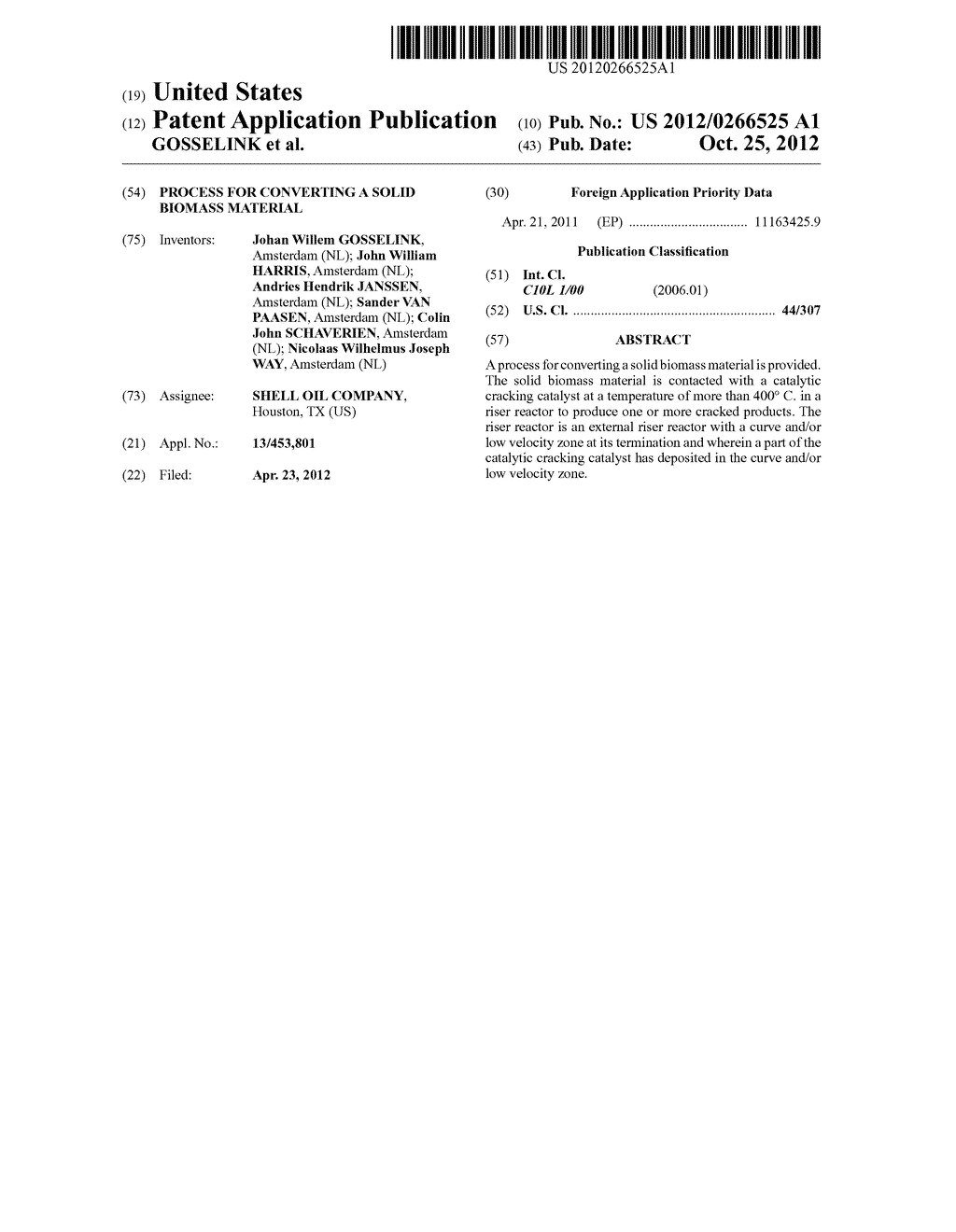 PROCESS FOR CONVERTING A SOLID BIOMASS MATERIAL - diagram, schematic, and image 01