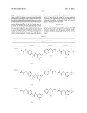 Lithographic Printing Plate Precursor diagram and image