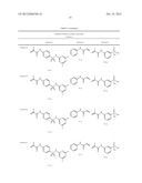 Lithographic Printing Plate Precursor diagram and image